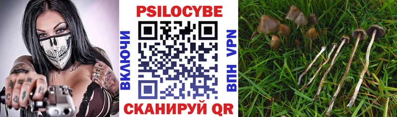 Галлюциногенные грибы Magic Shrooms  купить закладку  Сусуман 