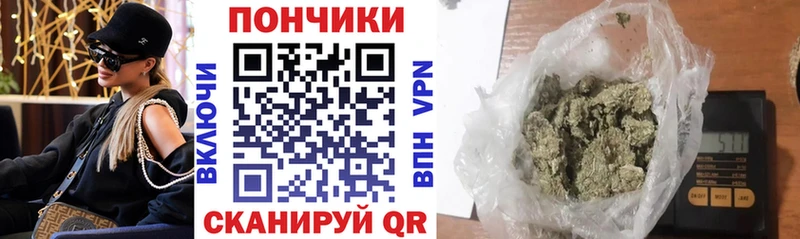 Бошки марихуана семена  omg ссылка  Сусуман  где купить  